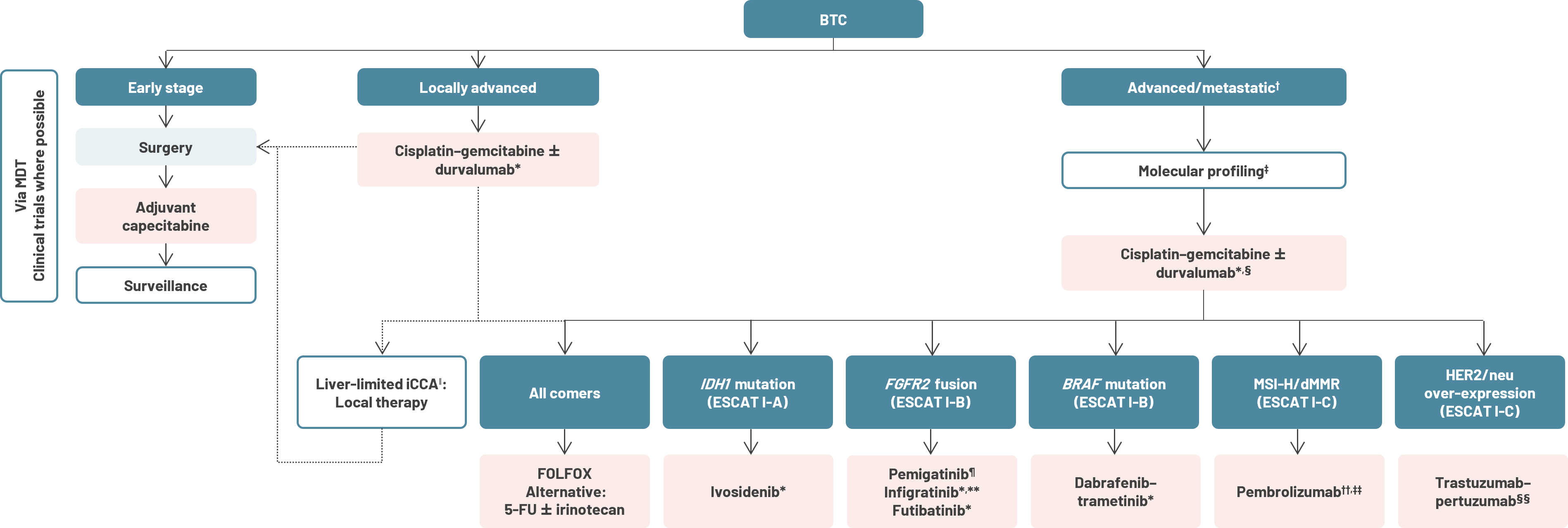 A chart showing the treatment algorithm